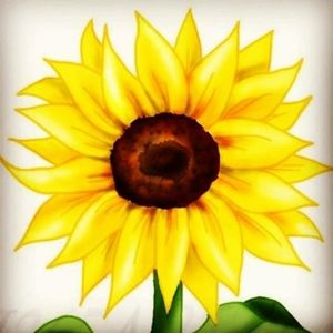 Meet your Posher, Katlyn